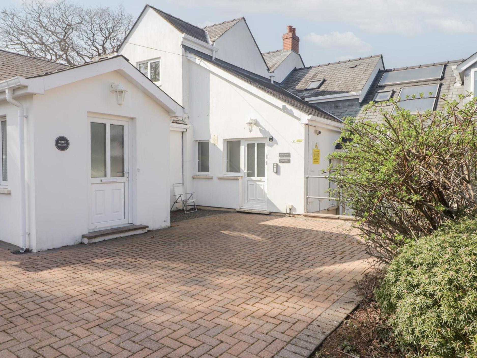 Daffodil Apartment Tenby Exterior foto